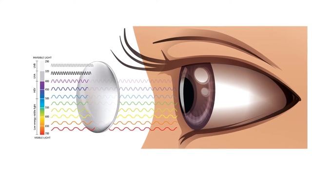 Z8 | Virtually Indestructible Youth Active Eyewear from Liberty Sport смотреть онлайн