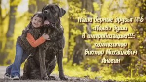 МУЗЫКА «Наши верные друзья №6» импровизация фортепиано композитор Виктор Михайлович Анохин