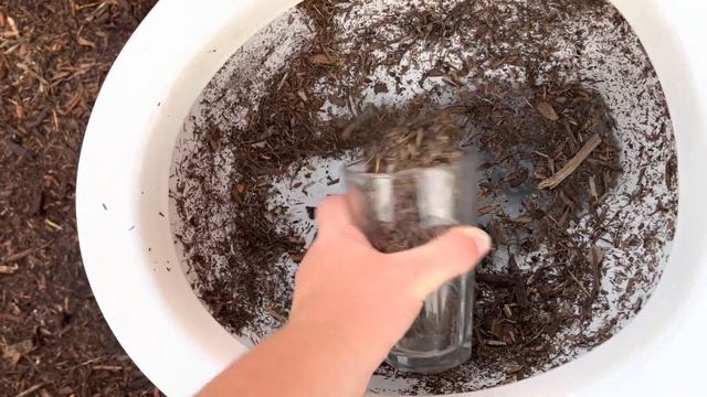 2019 Gerber Maxwell Toilet Tests! смотреть онлайн