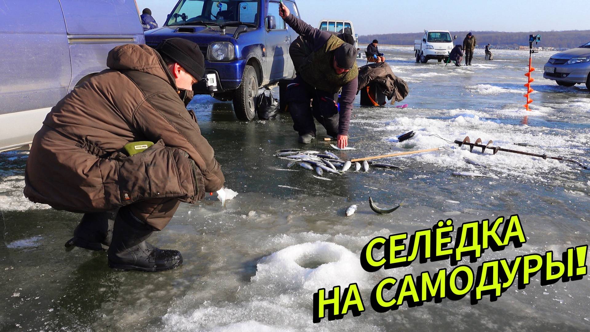 Зимняя рыбалка на селёдку | Клюёт шикарно!