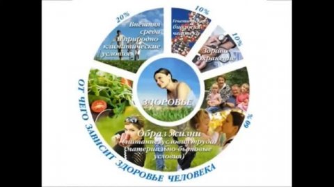 Квантовый Биоанализатор 1+