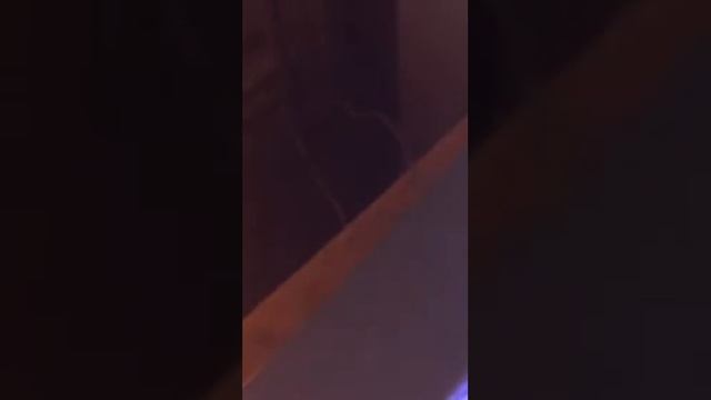 Co2 w40 смотреть онлайн