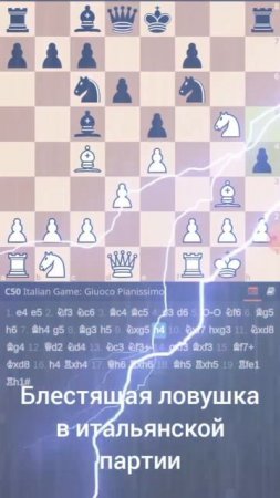 Черные громят белых! #chess # lichess.org #shorts