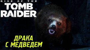 ДРАКА С МЕДВЕДЕМ ➤ Rise of the Tomb Raider #2