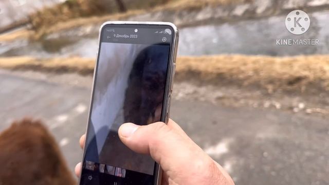 3 БОШЛИ СУТИ КУП ШВЕД СИГИРЛАР КЕЛДИ ☎️+998 91 117 03 07  SOTILADIGON SIGIRLAR NARXI 9 декабря 2023