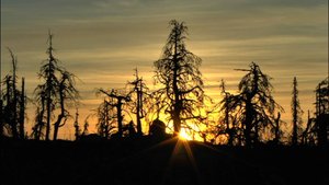 Неземная Воттоваара.