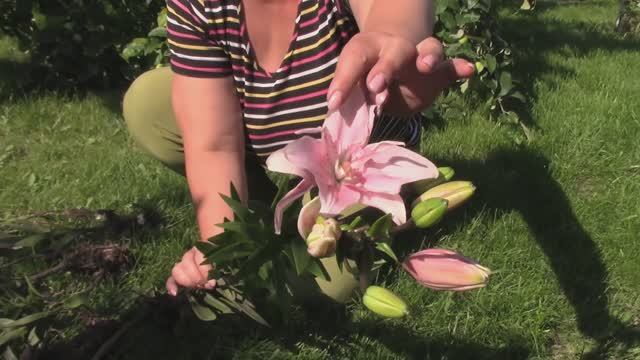 Наша дача. Лето 2024 смотреть онлайн