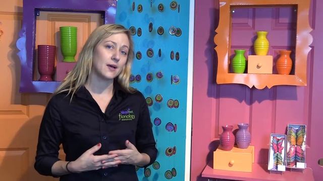 Summer Vines, Spring Sorbet and Misty Meadow смотреть онлайн