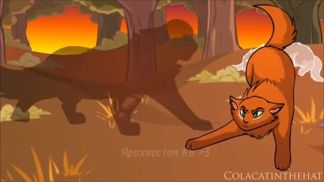 //Клип Коты-Воители "Дай ему сил". Огнезвёзд// #wc #врекпж #хзчёписать