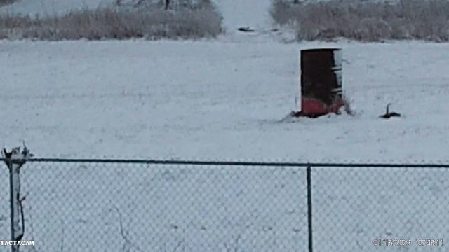 Female 300 Win Mag смотреть онлайн