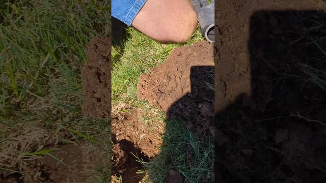 1940Merc WP 4 29 24 смотреть онлайн