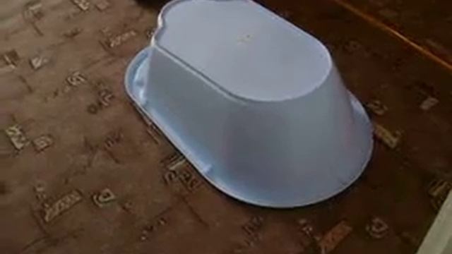 Усатый полтергейст Тазик сам передвигается! смотреть онлайн