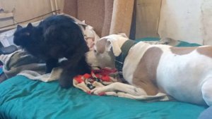 когда хочется обнять..