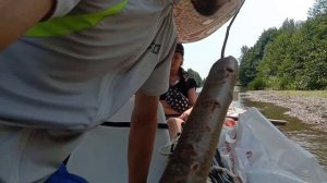 Терешка 27.07.23. сплав на плоту из пивных кег.