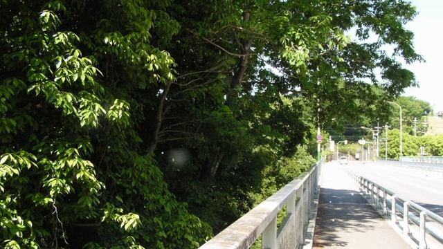 Cartoon Bank Heist　1:43　Doug Maxwell/Media Right Productions смотреть онлайн