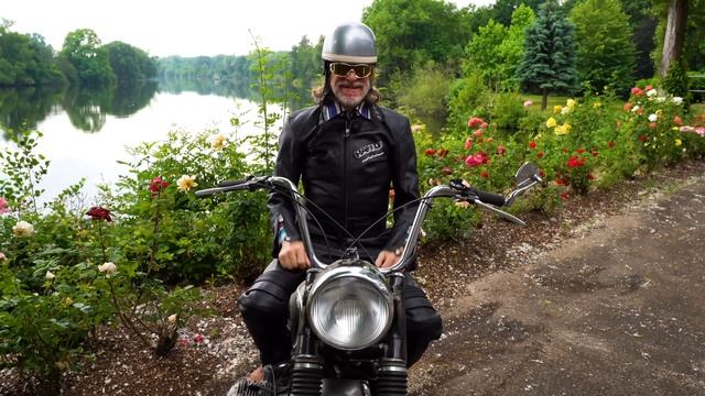 Helge Schneider - Ich setz mein Herz bei E-bay rein - Official Video смотреть онлайн