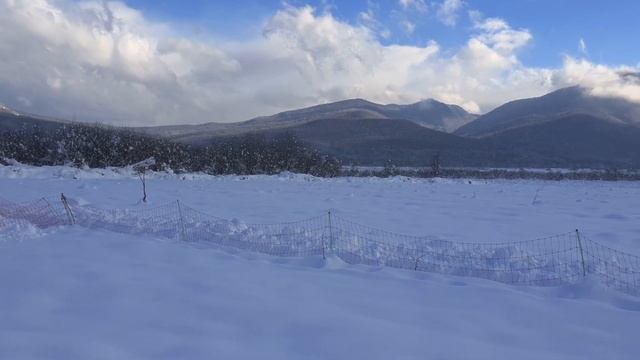 Такой снег - наши куры видят впервые! смотреть онлайн