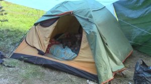 Ирландские терьеры: 7 Дней из лета ...