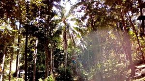 Ao nang Fiore Zipline Adventure Park, Krabi, Thailand... Double Zip line with Jennifer and Emy...