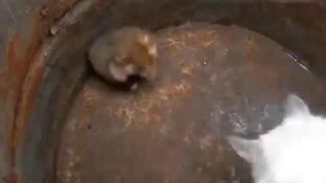 Мал да удал!! смотреть онлайн