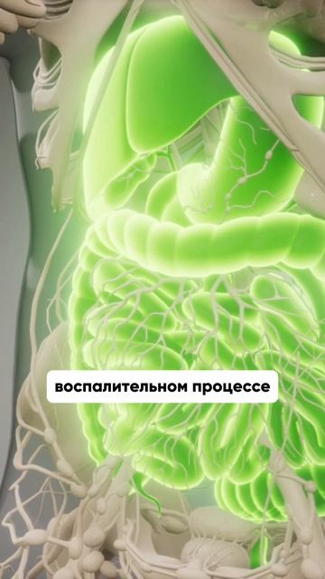 Остатки непереваренной пищи в кале #детскийврач #здоровье #иммунитет #нутрициолог #анализкала