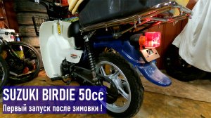 Мопед SUZUKI BIRDIE 50cc, заведется или нет после простоя в 6 мес? Запуск двигателя после зимовки.