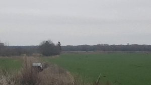 Охота на косулю.