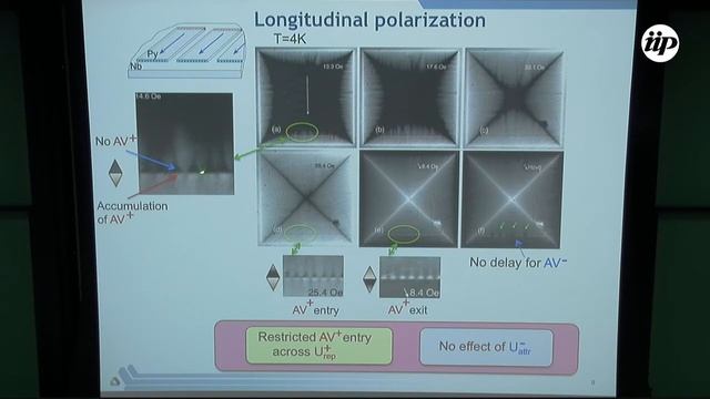 Magnetic permalloy stripes - Vitalii Vlasko-Vlasov смотреть онлайн
