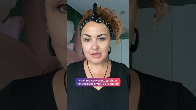 #вичка_алкоголичка #дополнительныйзаработок #доходбезвложений #непьюиработаю #бросаюпить #нужендоход