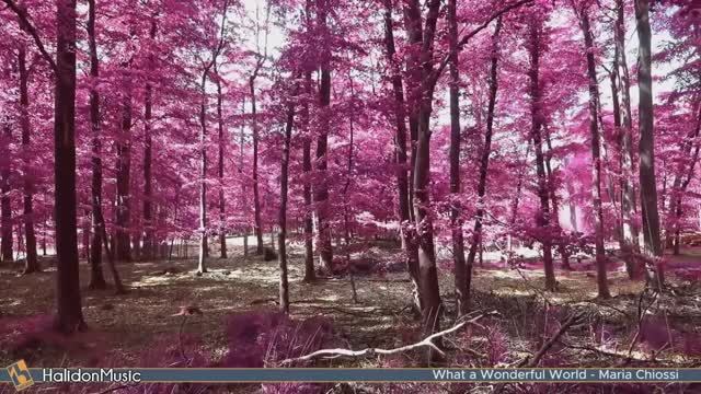 Классическая арфа для успокоения души