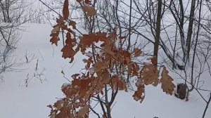Январские зарисовки на берегу Вятки.