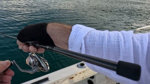 Моя рыбалка за весь 2024 год