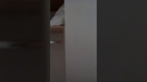 аренда квартиры ст. Северская