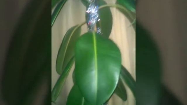 Немного Новогодней Атмосферы | KsuLya смотреть онлайн