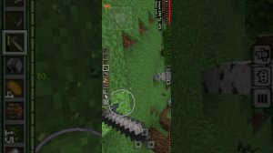 1 сезон выживания начало