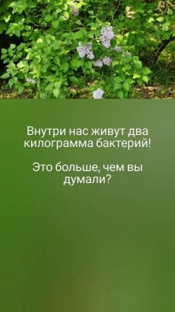 Микромир внутри нас 😳🦠🔬