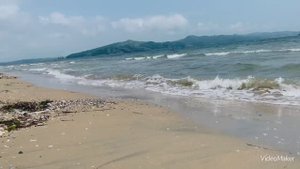 Коса Назимова 2023 Приморский край