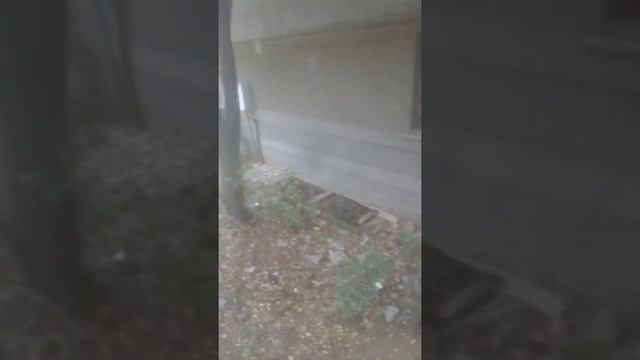 Пени лайс смотреть онлайн