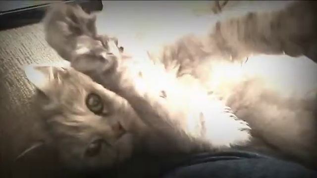 Балдёжница Дикси. смотреть онлайн