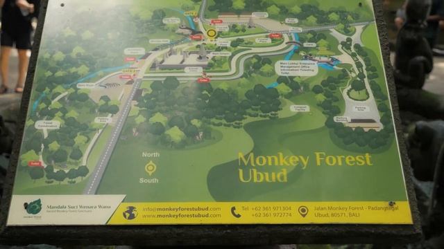 MONKEY STEALS MY CAMERA?! | Bali, Indonesia смотреть онлайн