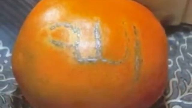 Мейрамбек Беспаев - Алланын бары - Акикат смотреть онлайн