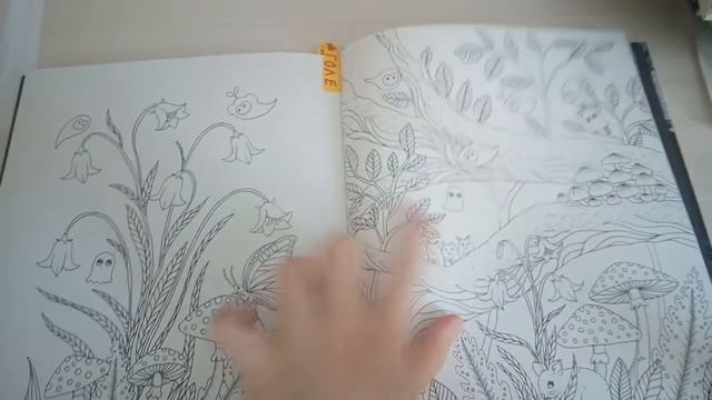 Мои не начатые раскраски/Блокнот по раскраскам/ смотреть онлайн