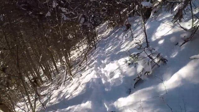 E-BIKE WINTER RIDE FANTIC - das Fatbike mit Power Motor / 750 Watt / Greenstorm Kufstein / usedbike смотреть онлайн