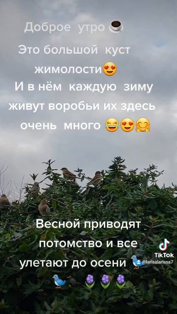 Доброе утро 😍 #подпишись #любимоехобби #садмечты_своимируками #счастьевмелочах