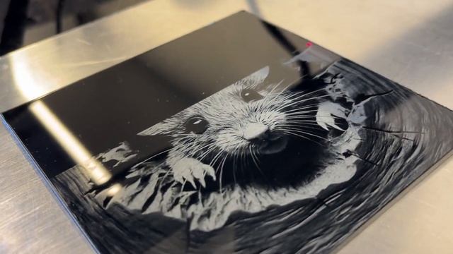 Unleash the Power with ACMER A2 1064nm Infrared Laser Module for Epic P2 & P1 Tests! смотреть онлайн