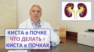 Киста почки, причины и лечение. Кисты в почках, опасно ли это, и как их лечить.