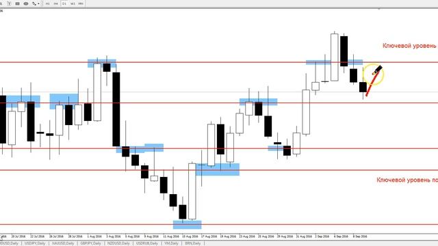 GBP/USD - ЕЖЕНЕДЕЛЬНЫЙ АНАЛИЗ РЫНКА #ФОРЕКС С 12 по 16 СЕНТЯБРЯ 2016. АНАЛИЗ ФОРЕКС. смотреть онлайн