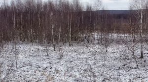 25-01-2025 На кабана