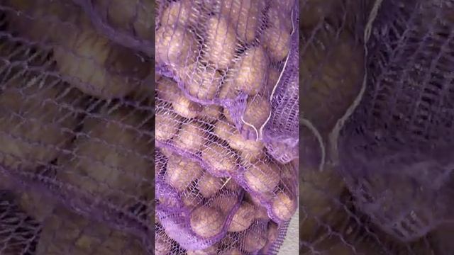 Гала Брянская область(1) смотреть онлайн