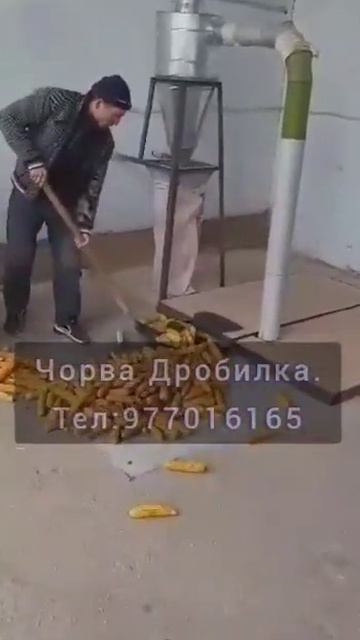 дку 380 волт 15 кв дробилка драбилка жоди смотреть онлайн